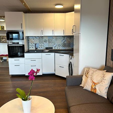 Apartment Fabelwald Black Forest Schonach im Schwarzwald Экстерьер фото