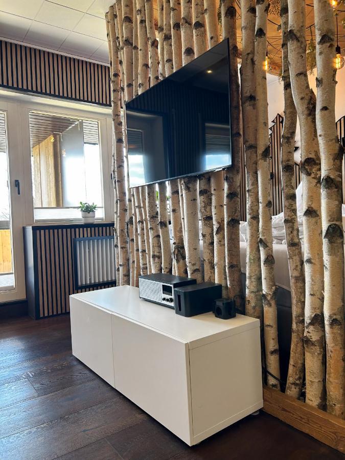 Apartment Fabelwald Black Forest Schonach im Schwarzwald Экстерьер фото