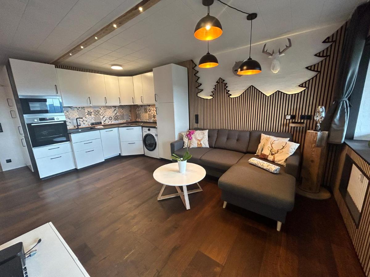 Apartment Fabelwald Black Forest Schonach im Schwarzwald Экстерьер фото